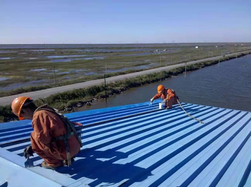 静海钢结构屋面漏水原因